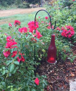 Ashman Shepherds Hook 10 Pack Black, 35 Inches Tall, Made of Premium Metal for Hanging Solar Light, Bird Feeders, Mason Jars, Garden Stake and Wedding Décor. 32 91oFTGC5EwL