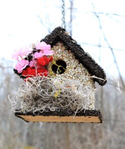 Edible Birdhouses | Reseedable Wooden Birdhouse Covered w/Birdseed | Squirrel Proof Bird Feeder | Made in The USA (SD) Short Dark Roof 22 91oKash3qpL