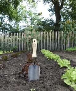 DeWit Forged Hand Trowel Standard Short Handle 13 91oLM1sD33L