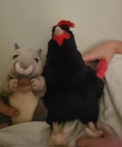 Adore 12" Standing Aussie The Hen Chicken Plush Stuffed Animal Toy 14 91oMfcPtZ0L