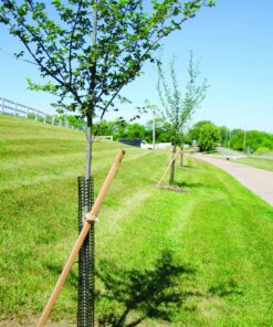 A.M. Leonard Rigid Plastic Mesh Tree Bark Protector, 36 Inches Tall (Pack of 5) 12 91oTEanPKsL