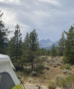 CORE 6 Person Instant Cabin Tent | Portable Large Pop Up Tent with Easy 60 Second Camp Setup for Family Camping | Included Hanging Organizer for Outdoor Camping Accessories Light Gray/Green 30 91oXAXcVlL