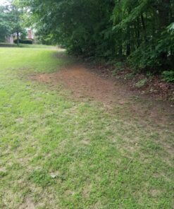 Hydro Mousse Liquid Lawn System - Grow Grass Where You Spray It - Made in USA High Performance Grass Blend 35 91oc6H8i8lL