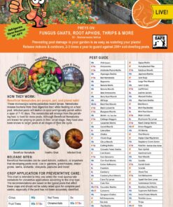 Alternative view of NaturesGoodGuys Beneficial Nematodes SF Steinernema feltiae - 50 million
