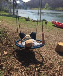 Royal Oak Giant 40" Spider Web Tree Swing, 600 lb Weight Capacity, Durable Steel Frame, Waterproof, Adjustable Ropes, Bonus Flag Set and 2 Carabiners, Non-Stop Fun for Kids (Blue) Blue 29 91ooP5gnYkL