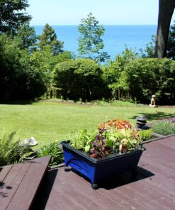 Emsco Group 2370 Hydropickers Compact 24” x 20” Footprint – Mobility Provided by Casters Non-Electric Hydroponics Grow Box, Cobalt Blue 12 91ooRgBKO L