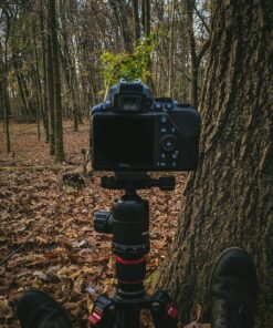 Neewer Carbon Fiber 66 inches/168 centimeters Camera Tripod Monopod with 360 Degree Ball Head,1/4 inch Quick Shoe Plate,Bag for DSLR Camera,Video Camcorder,Load up to 26.5 pounds/12 kilograms 167 91oxV8CR9yL