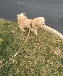 Poop Bags, Environment Friendly Pets N Bags Dog Waste Bags, Biodegradable, Refill Rolls, Includes Dispenser (16 Rolls / 240 Count) 16 Count (Pack of 1) 38 91p1sLLTqcL