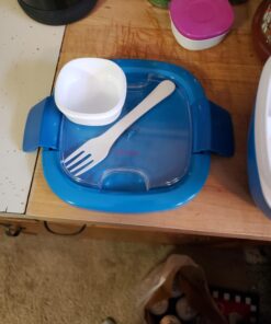 Bentgo® All-in-One Salad Container - Large Salad Bowl, Bento Box Tray, Leak-Proof Sauce Container, Airtight Lid, & Fork for Healthy Adult Lunches; BPA-Free & Dishwasher/Microwave Safe (Blue) Blue 52 91p2fSvtY2L