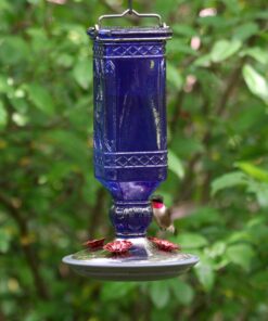 Perky-Pet 8117-2 EMW8207110, Medium, Cobalt blue Antique 21 91p4Z7ypL