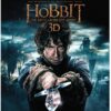 Hobbit, The: The Battle of the Five Armies (3D Blu-ray + Blu-ray) 3D 
                             
                            March 24, 2015