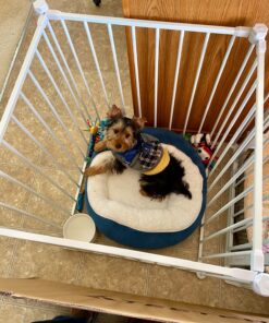 Regalo 192-Inch Super Wide Adjustable Baby Gate and Play Yard, 4-In-1, Bonus Kit, 4 Count (Pack of 1 192-Inch 2-in-1 White Gate 67 91p8qFOOVkL
