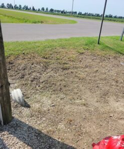 Compare-N-Save 75324 Herbicide, 1-gallon, white 42 91p9UtZj1KL