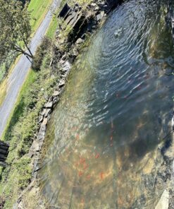 VIVOSUN 1600 GPH Submersible Water Pump, 100W Pond Pump, Ultra Quiet Aquarium Pump with 14FT. Lift Height for Pond, Waterfall, Fish Tank, Statuary, Hydroponic 28 91pHg90triL