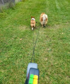 WIGZI (2 Two Dog Reflective Retractable Pet Leash – 360 Degree Zero Tangle Patent - Two Dogs Each up to 50 lbs and 10ft. Reflective Orange and Green Leads. Dual Locking, Small, Gray 30 91pK8maLfxL