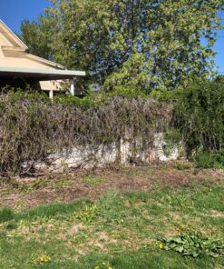 BLACK+DECKER 20V MAX Cordless Hedge Trimmer, 22-Inch, Tool Only (LHT2220B) 46 91pT9YlnsYL