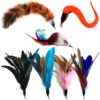 Pet Fit For Life 7 Piece - PLUS BONUS - Replacement Feathers and Soft Furry For Interactive Cat and Kitten Toy Wands 7 Piece Assortment
