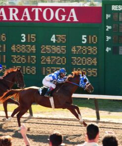 Secretariat DVD January 20, 2011 14 91pXJ3OTToL