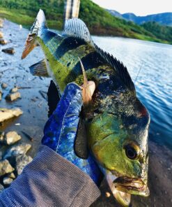 Okuma Voyager Spinning Freshwater Travel Kit, VS-605-20, Blue Fishing Rod Reel Combo 34 91pqF2XPDCL