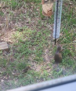 The Original Slinky Walking Spring Toy, Metal Slinky, Fidget Toys, Kids Toys for Ages 5 Up by Just Play 38 91psjgKCfgL