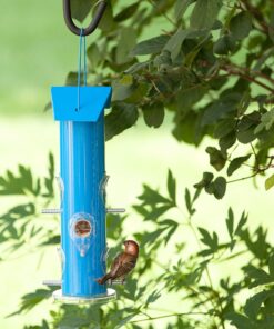 Perky-Pet 391 Metal Tube Wild Bird Feeder, Blue Sturdy 25 91q5qEtUTcL