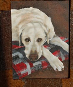 SAKURA Gelly Roll Gel Pens - Medium Point Ink Pen for Journaling, Art, or Drawing - Classic White Ink - 6 Pack 6 Count (Pack of 1) Medium Tip 42 91q7CciM9KL