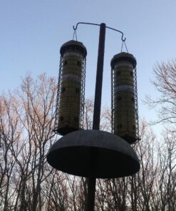 Perky-Pet 102 4 lb Squirrel Resistant Easy Feeder 31 91qC0WCX7WL