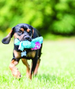 Alternative view of KONG Cozie Baily the Blue Dog, Medium Dog Toy, Blue