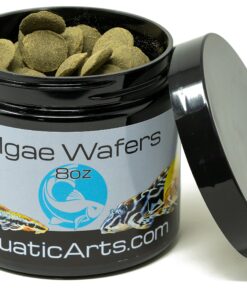Aquatic Arts Algae Wafers (8 Ounce) Sinking Food for Live Aquarium Shrimp, Fish (Pleco/Tetra), Snails, and Bottom Feeders | High Protein Spirulina Blend Fish Food for Fish Tank Aquariums 22 91qDGNXlS