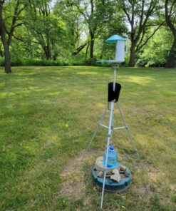 NETVUE Birdfy AI - Smart Bird Feeder with Camera, Free AI Forever, Auto Capture & Identify 6000+ Bird Species, Bird Videos for Birdwatching, Ideal Gift for Bird Lover Blue 49 91qWerwhpwL 1