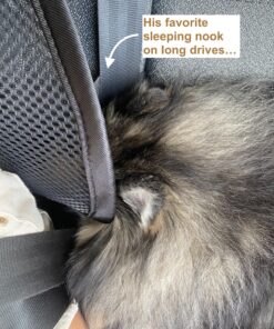 kingphenix Lumbar Support (2 Pack) with Breathable Mesh, Suit for Car, Office Chair Mesh - Black 47 91qdsMi3niL