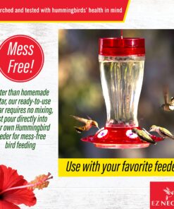 EZNectar Happy Hummers! Clear Ready-To-Use Hummingbird Nectar, 33.8 oz 17 91qie9mMsS
