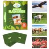 Animal Flash Cards - 50 Educational Flashcards for Children and Adults - Fun Vocabulary Builder Flash Cards for Speech Therapy, ESL, Occupational Therapy, and More Animals 7 91qpuKvxyVL