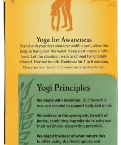 Yogi Tea, Egyptian Licorice Mint, 16 Count 16 Count (Pack of 1) 15 91qs8tNuZdL