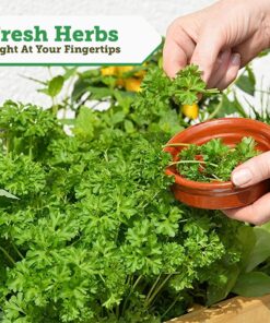 VegTrug 8 Pocket Herb Garden Brown 37 91quKYKOOcL