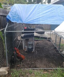 Grizzly Tarps by B-Air 8' x 10' Large Multi-Purpose Waterproof Heavy Duty Poly Tarp with Grommets Every 36", 8x8 Weave, 5 Mil Thick, for Home, Boats, Cars, Camping, Protective Cover, Blue 8' x 10' 45 91quYlMcFaL