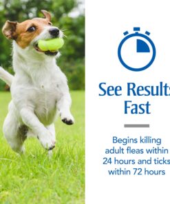 PetArmor for Dogs, Flea and Tick Treatment for Small Dogs (5-22 Pounds), Includes 3 Month Supply of Topical Flea Treatments 3 Count 5-22 lbs 27 91r0ljBjm0L 1