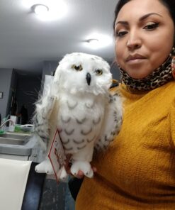 Douglas Legend Snowy Owl Plush Stuffed Animal 30 91r25zLvAJL