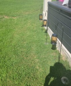 Ashman Shepherd's Hooks 35 Inch (12 Pack), Black, Made of Premium Metal for Hanging Solar Lights, Bird Feeders, Mason Jars, Christmas Lights, Lanterns, Garden Stakes and Wedding Décor. 12 Pack 53 91r42hayQOL