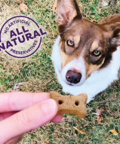 Old Mother Hubbard by Wellness Classic P-Nuttier Natural Dog Treats, Crunchy Oven-Baked Biscuits, Ideal for Training, Mini Size, 20 ounce bag Mini Biscuits Peanut Butter 1.25 Pound (Pack of 1) 28 91r8fpxMaUL