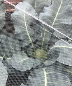 Craft And Party, Silver Fabric Tulle Roll 54 Inch by 40 Yards (120 ft) Fabric Tulle Bolt for DIY Tutu Skirt, Wedding and Decoration (Silver) 54" x 40 yards 35 91rA90uK RL