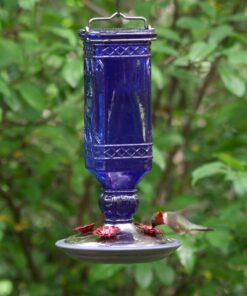 Perky-Pet 8117-2 EMW8207110, Medium, Cobalt blue Antique 22 91rEzm05dnL