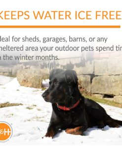 K&H Pet Products Thermal-Bowl Outdoor Heated Dog Bowl Blue 96 Ounces 25 91rKoNKml L 1