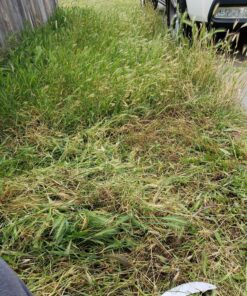 Kasoyo Japanese Steel Grass Sickle w/Wooden Handle Kama 180mm No.130 18 91rONlMJf1L