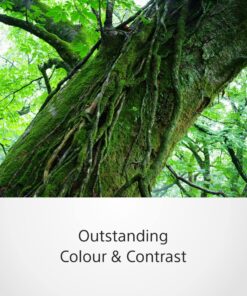 Sony 55mm F1.8 Sonnar T FE ZA Full Frame Prime Lens - Fixed Base 44 91rkVX03GQL