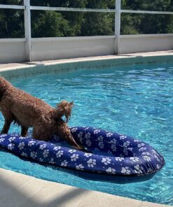 SwimWays Paddle Paws Spring Float Dog Raft, Small (0-65 lbs.) 31 91rrUkd lhL