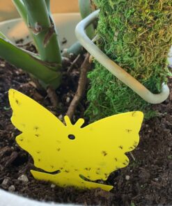 Trappify Sticky Gnat Traps for House Indoor - Yellow Fruit Fly Traps for Indoors/Outdoor Plant - Insect Catcher White Flies, Mosquitos, Fungus Gnat Trap, Flying Insects - Disposable Glue Trapper (12) 12 57 91rryBzSHWL