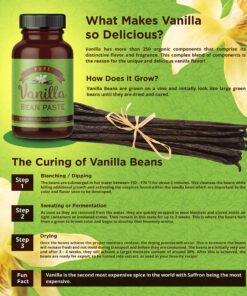 Vanilla Bean Paste for Baking and Cooking - Gourmet Madagascar Bourbon Blend made with Real Vanilla Seeds - 4 Ounces 4 Ounce (Pack of 1) 28 91sMt3ub9bL