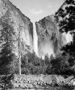 Kodak 857 2273 Professional 100 Tmax Black and White Negative Film 120 (ISO 100) 5 Roll Pack 1-Pack 11 91sS50T8vUL