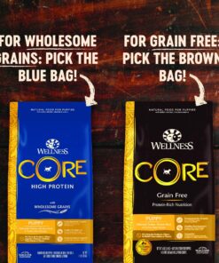 Wellness CORE Natural Grain Free Dry Dog Food, Puppy, 4-Pound Bag 4 Pound (Pack of 1) 16 91sSxSXAOdL